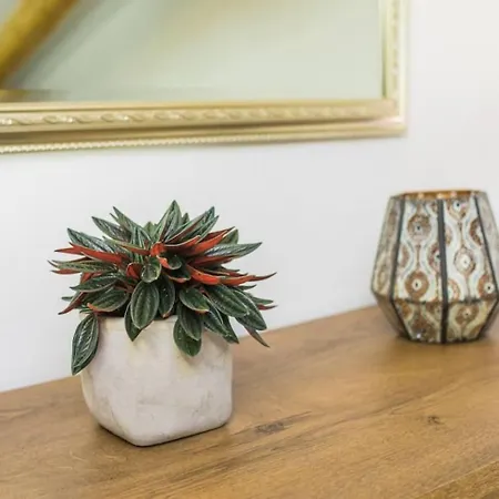 Hotel Apartma Luna With Mountain View